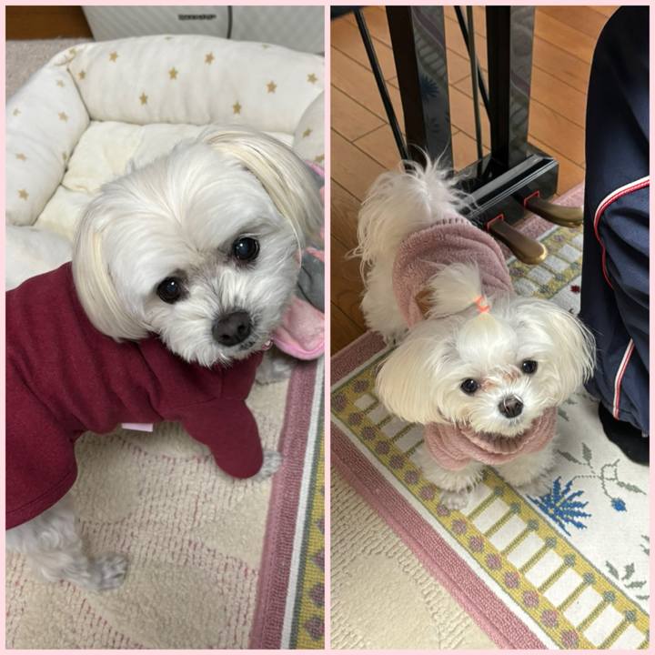 Daabc5f7 0b65 4be2 8b03 efb4674b3298 1738241818180