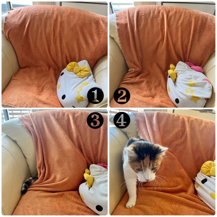 Daabe0ee ec1e 46fb bb96 4aa2d482567a 1697886692077