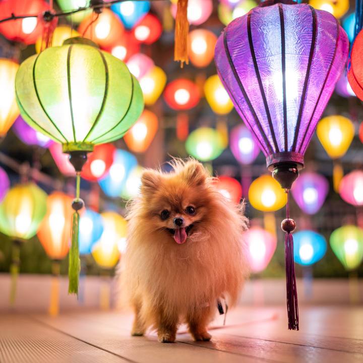 Daac19db 27da 4d81 9b42 d9da2106f450 1565566898980