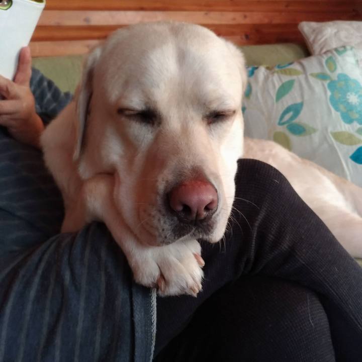 Daac551d 9bdf 4326 b718 51b4de1fc0d3 1515910648747