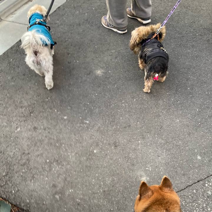 Daacd4e1 40d9 4f15 857b 7509929a04d9 1737718111510