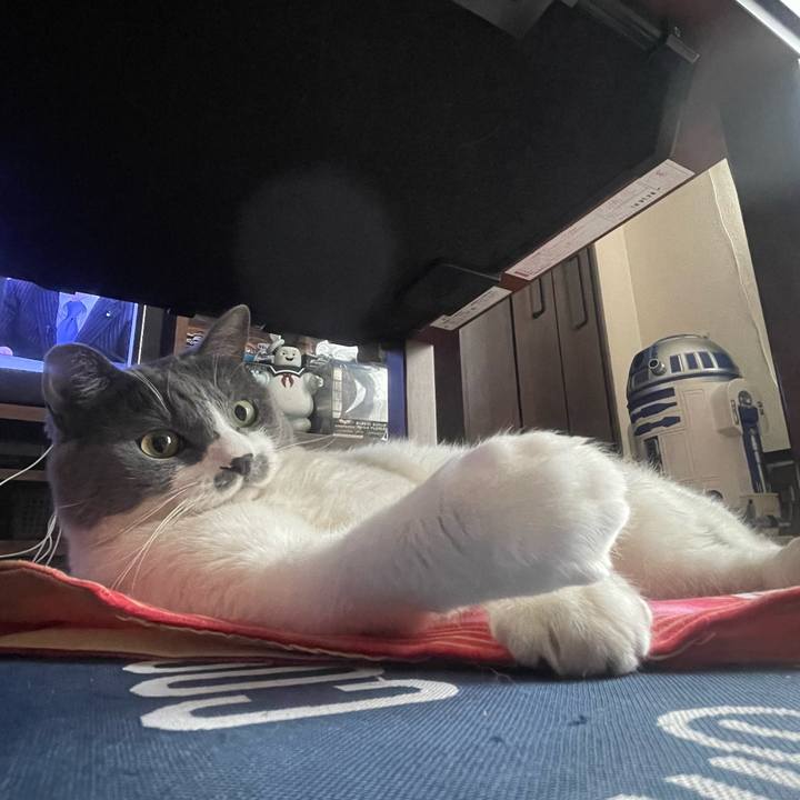 Daace5e4 882f 40d5 a633 b29a55d02391 1719702088929