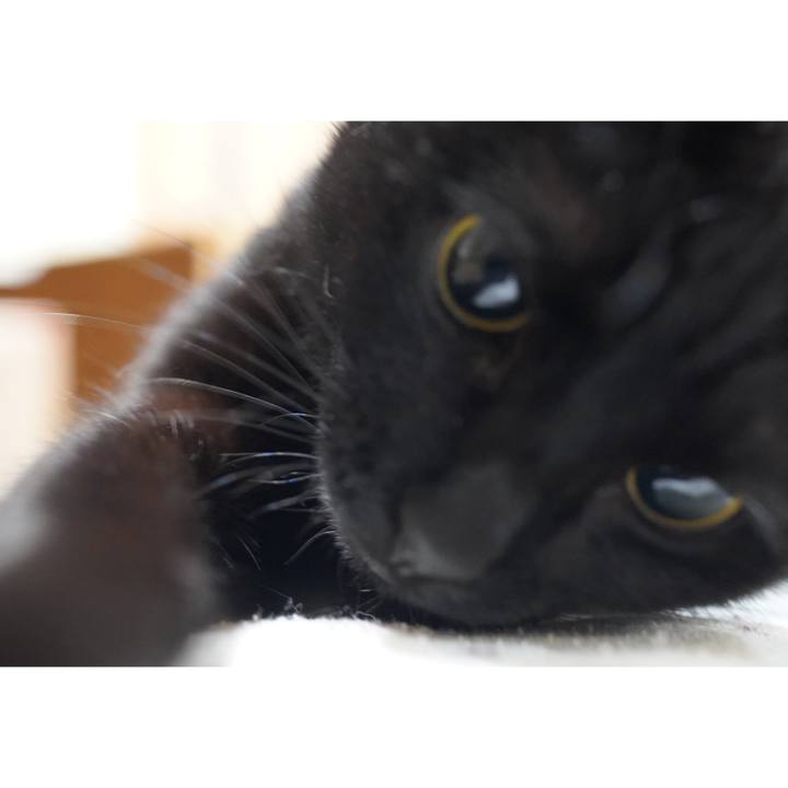 Daad14cb a5b1 4b09 9078 435a88c63825 1614479799539