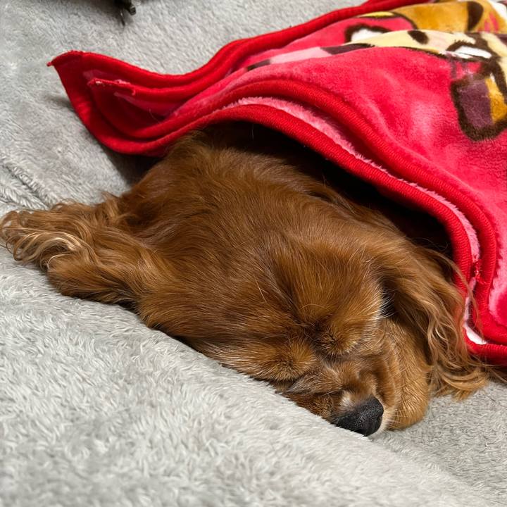 Daad3564 9b76 4857 9f24 73d4f39cae6d 1702691450586