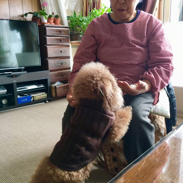 Daad46e6 cb3a 46a4 9108 938b1b6f35d5 1516026385439