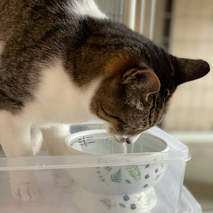 Daad4e7e 12be 4187 a9e7 f2ab84129a67 1617587199645