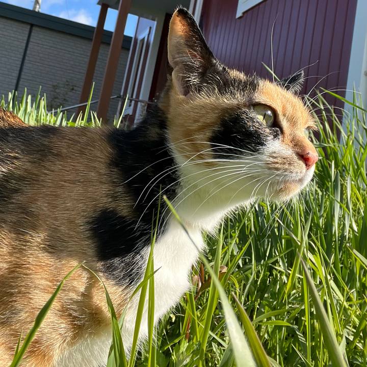 Daad817c 477c 401d 9cd5 78b5d93cb666 1651531960305