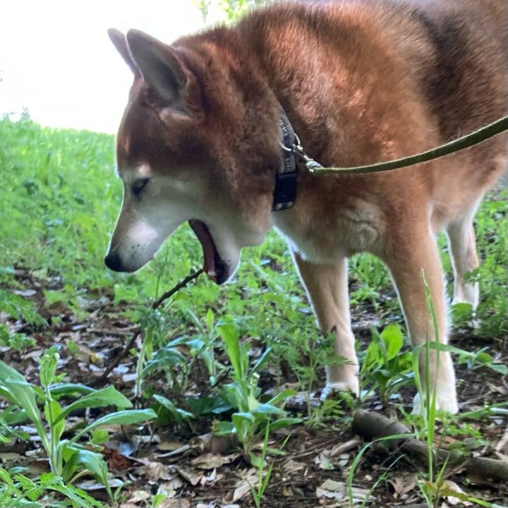 Daadafcb 6c7c 4baa 8e57 98707c78b671 1681894002187