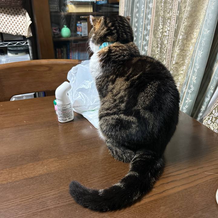 Daadccb7 a197 43e9 8574 b1b812085c42 1768511010455