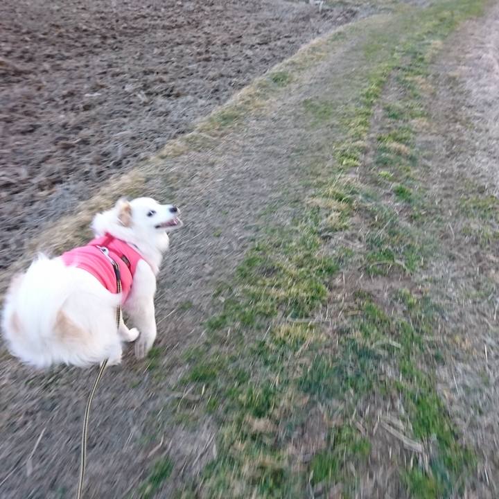 Daade047 f461 4897 958c b2738e2fe7da 1520804556090