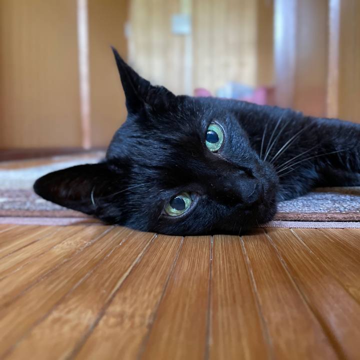 Daade90a a159 4fe6 abbf 14d5f142f614 1657245963180