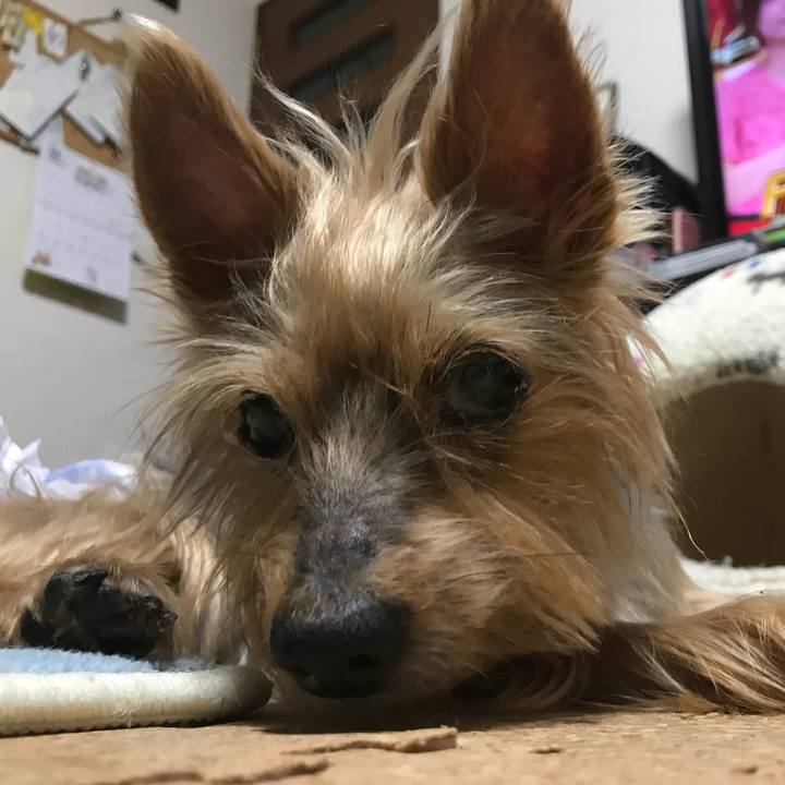 Daae2fd1 a65b 467c a047 baabb0ca68fc 1512301561827