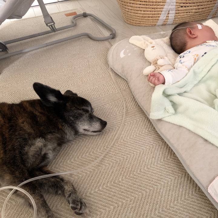 Daae464f a740 47cc 94e4 a67de36ad066 1711833616577