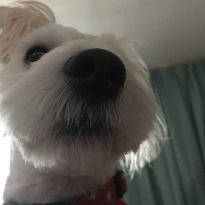 Daae6c8f d3d6 4b61 a8d4 1d9138a0ba19 1509019729957