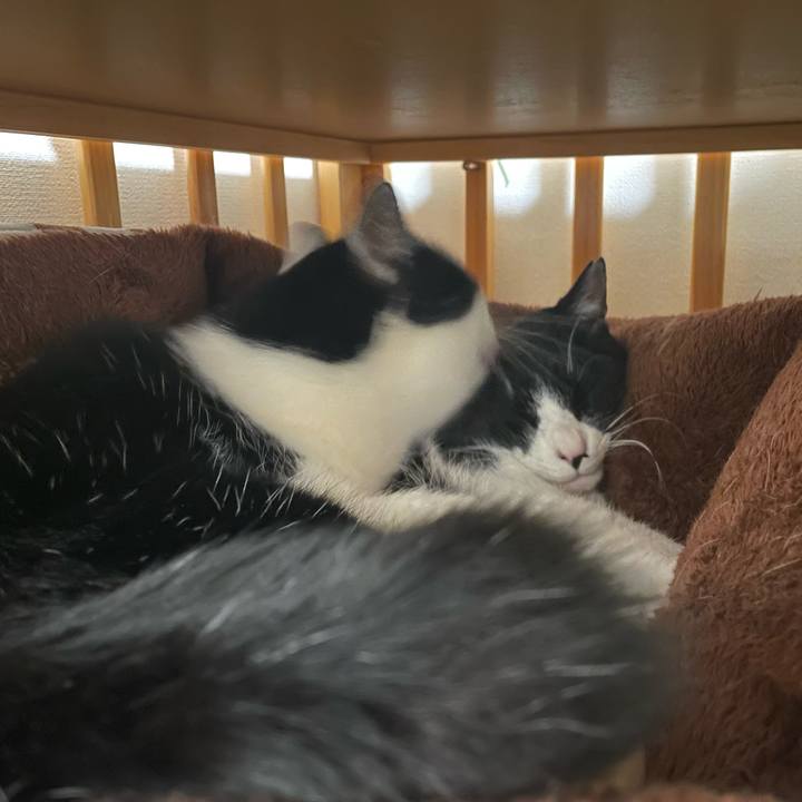 Daae8184 570b 40ef bddb 201fddc1b7fb 1708614267283