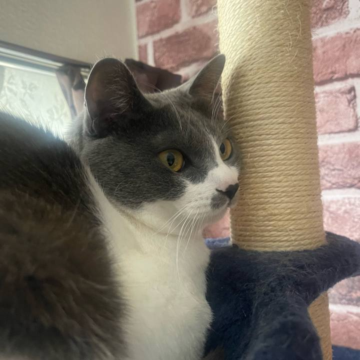 Daaebcda 106f 4204 862e 0ec75c0f5895 1648952935383