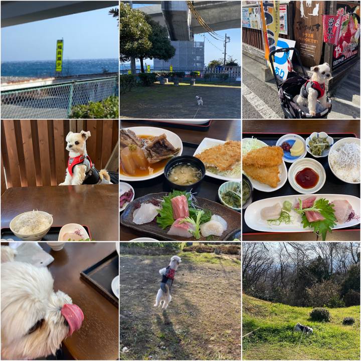 Daaf55b3 cf05 4fe6 baa5 1e74a0e1ee27 1610793375064