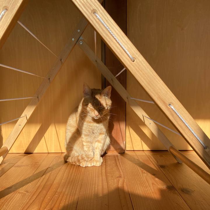 Daaf6396 97a2 4b8c a90e 4cd699947746 1649372726681