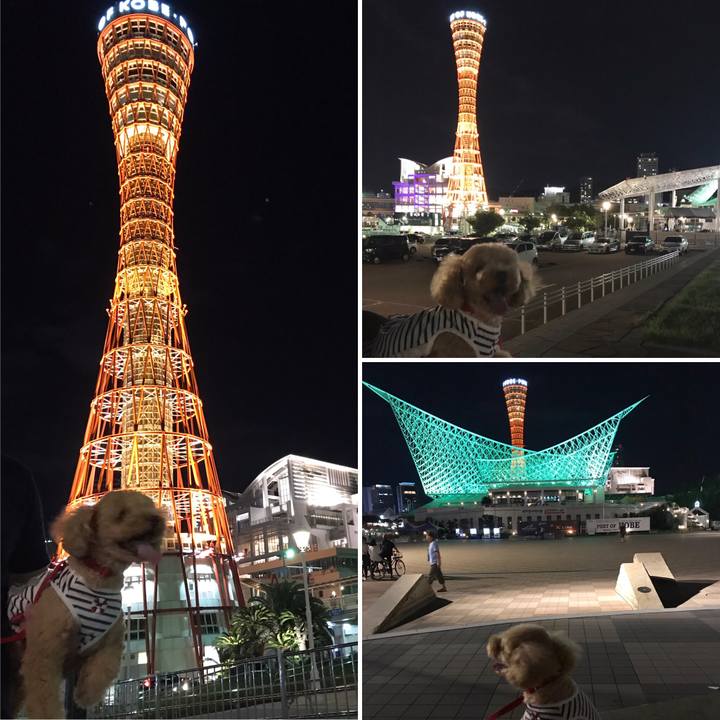 Daaf7c12 3efc 4f1b b67f be6c1df8ce77 1567944780265