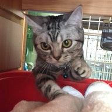 Daaf7c42 c716 4530 9f4e ce07434ba7f7 1547990302933