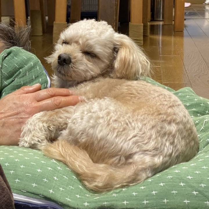 Daaf7fd1 0baf 4566 b8dc c40f7e0d8743 1638161301014