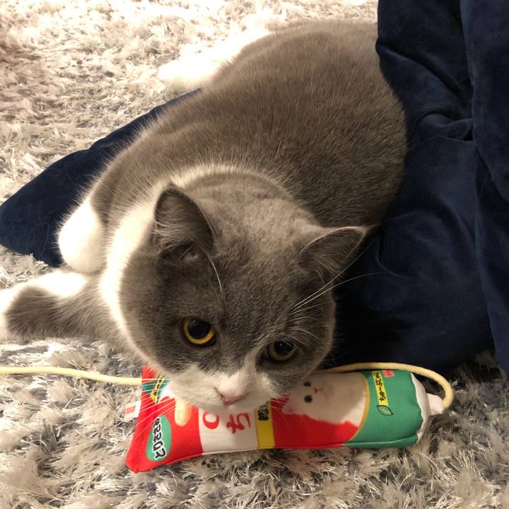 Daaf9930 3ee1 4874 8e30 df634d233702 1548803179486