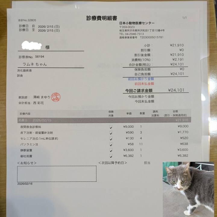 Daafad77 753c 44b1 939f 5627b71745f5 1771309703165