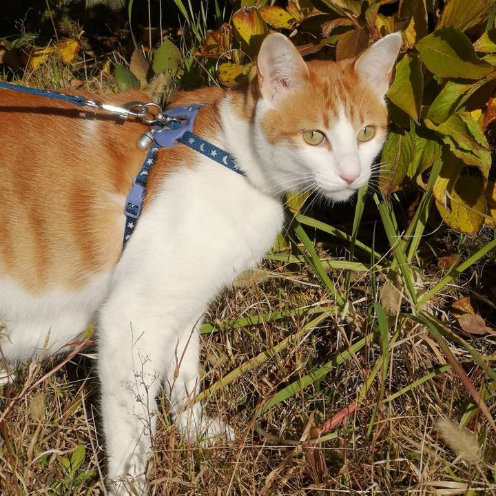 Daafae3e c38c 425a 935a 8b7ded63086d 1543726868781