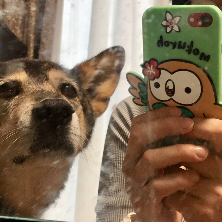 Daafc809 ef77 4337 8a15 502d46d5d831 1540773755632