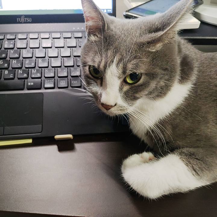 Daaff075 80f3 42e6 b54c 4fdbd45e60cb 1664443596557