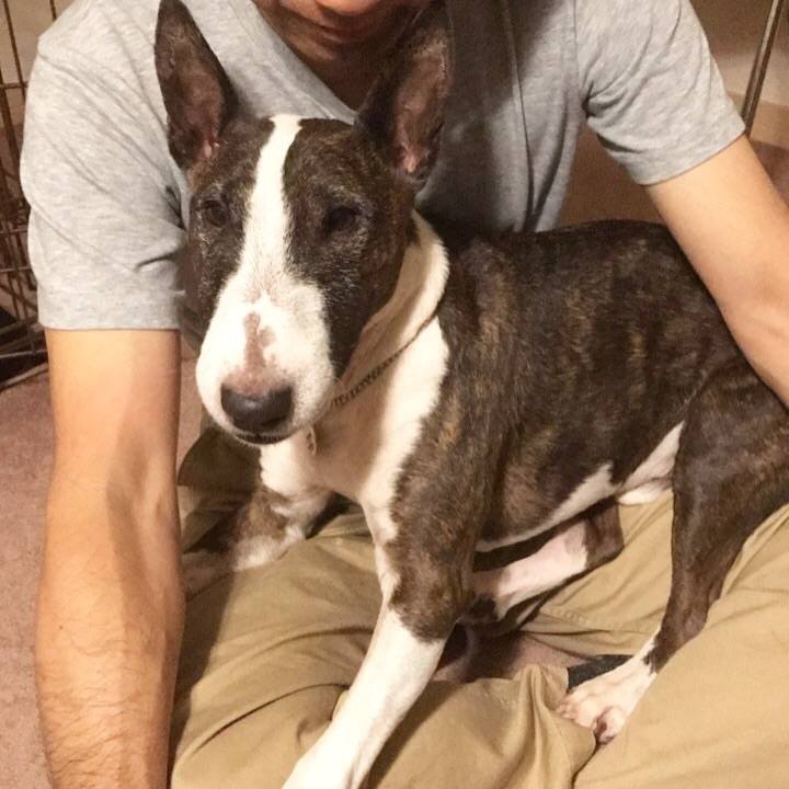 Dab00644 2414 4dee a410 a7def4a13552 1508242785819