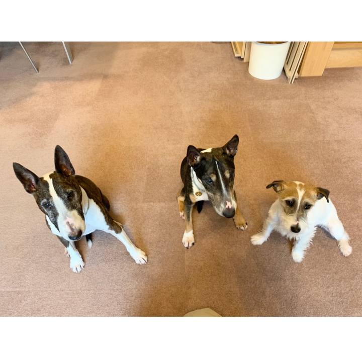 Dab063a5 8dd4 4757 8479 ef6f23bd5bc7 1583642774546