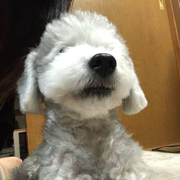 Dab0b66b 6701 4614 bc93 b9c4abc46121 1604880561133