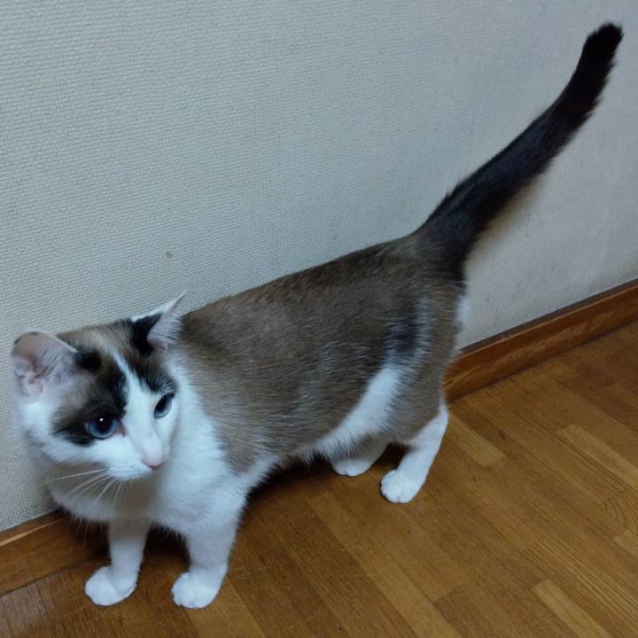 Dab0bab2 0a7d 410e b31a 2bcf237a38d8 1581334285776