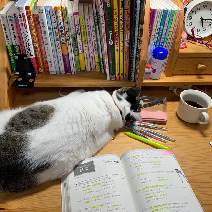 Dab0bdce d11b 4903 834c c8ec60457ff2 1634588290832