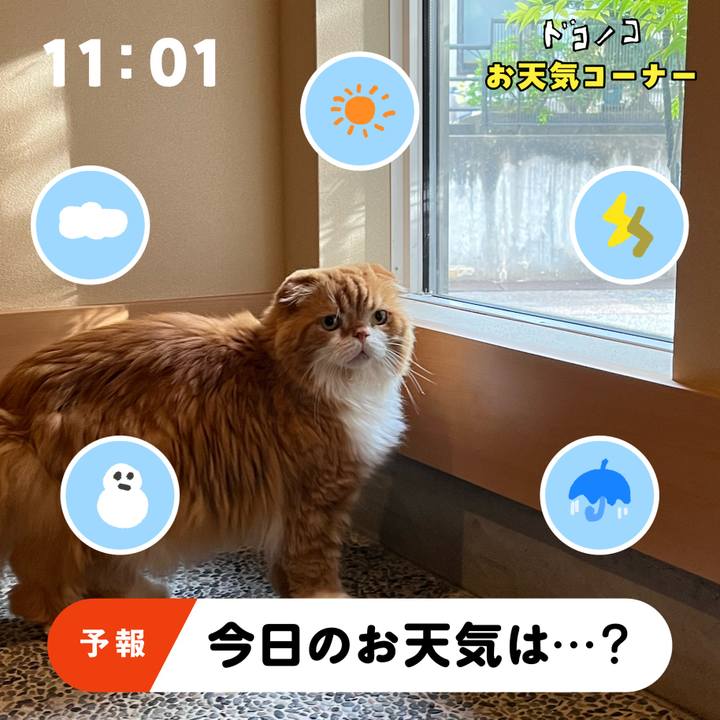 Dab0cfc7 4b82 4631 8f1c d228ab93c7fb 1782088007352
