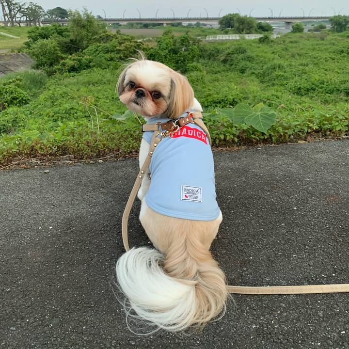 Dab10403 4ace 44c5 bb21 da956e3d3b55 1623232973234