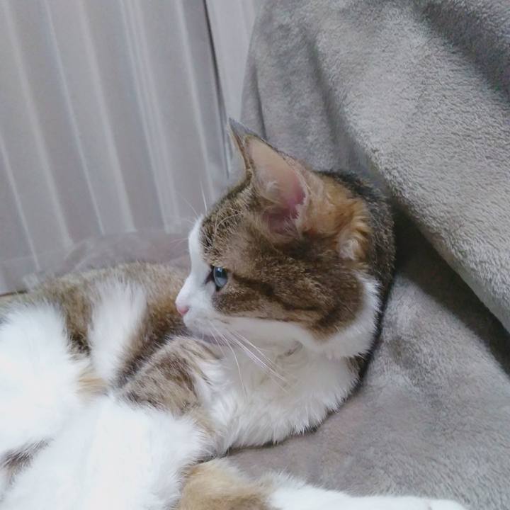 Dab105b2 cf62 47c4 8c67 dcc11061fd78 1540122598469