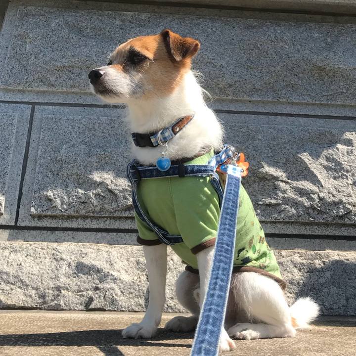 Dab1078b 92ae 43c1 a80b 008869647cbd 1527988758953