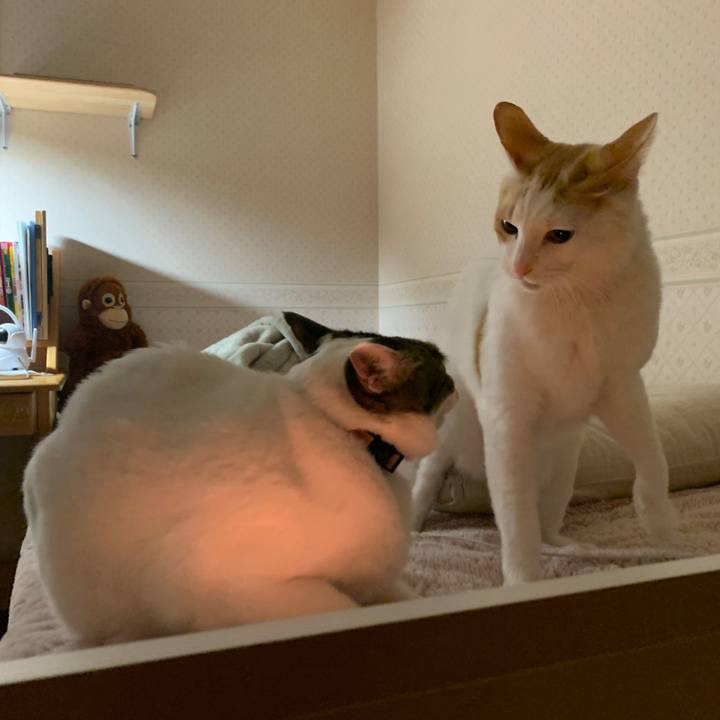 Dab112da aee3 4dbc b542 9753151408fe 1642623711150