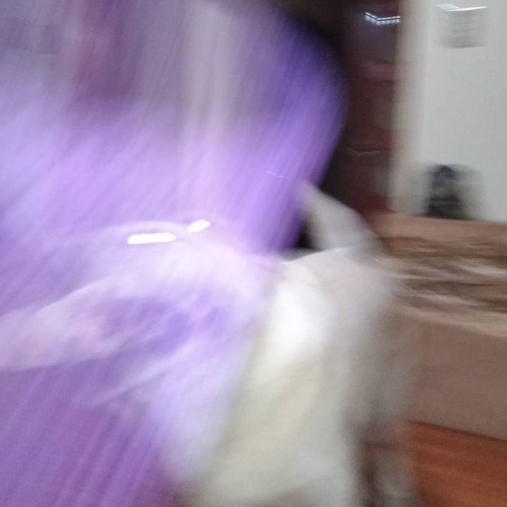 Dab152b0 fd98 4bca 9097 06b3677cb20a 1568805998130