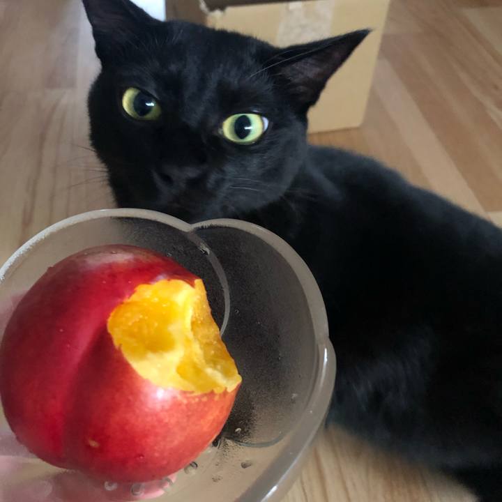 Dab16313 8cf0 452f a56f 862e4e9f9fcf 1566820755418