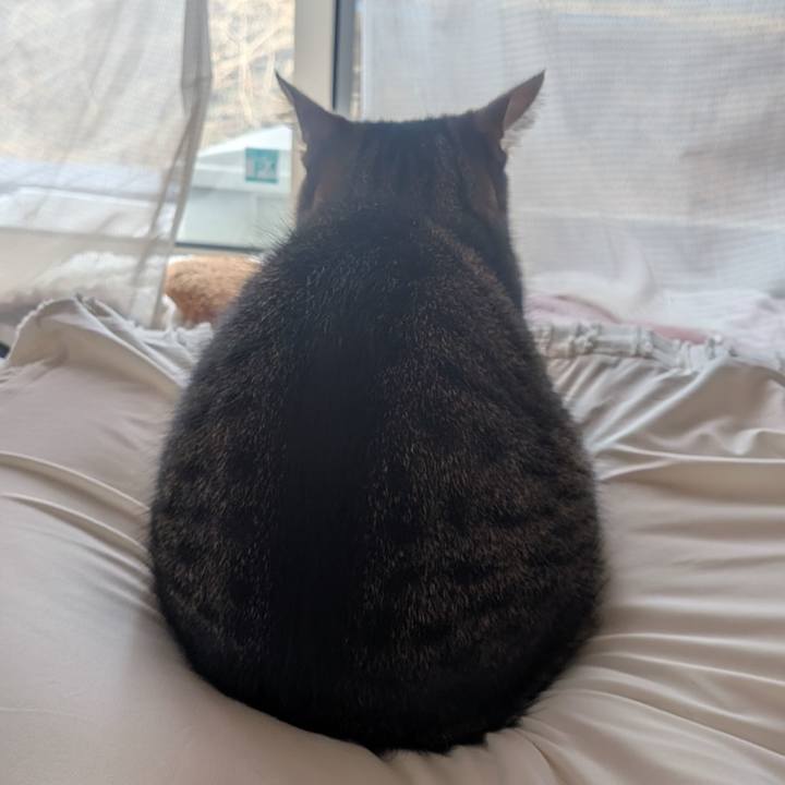 Dab1b31d e5df 421a a25e 9dfacc680be3 1772156811704