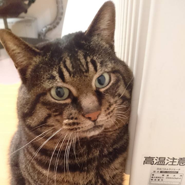 Dab1b524 a233 4f44 9ea2 219263c7147e 1520501795009