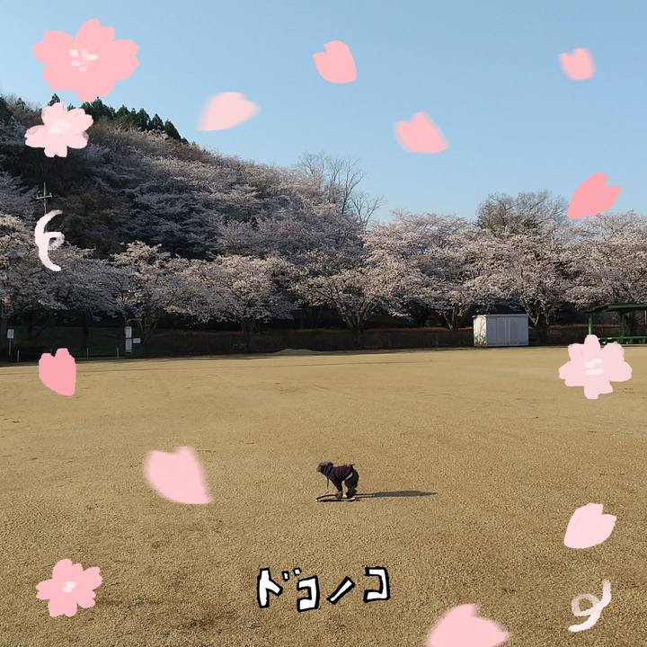 Dab1fcff 4f5d 4f23 9304 159f420c30ea 1744267519052
