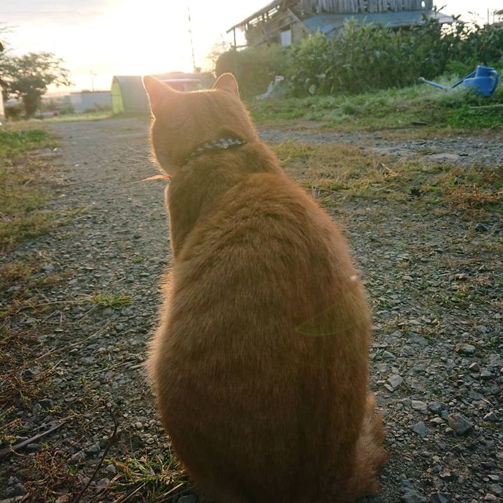 Dab22798 b86b 4fbe a00e 730036ca4061 1569445868558