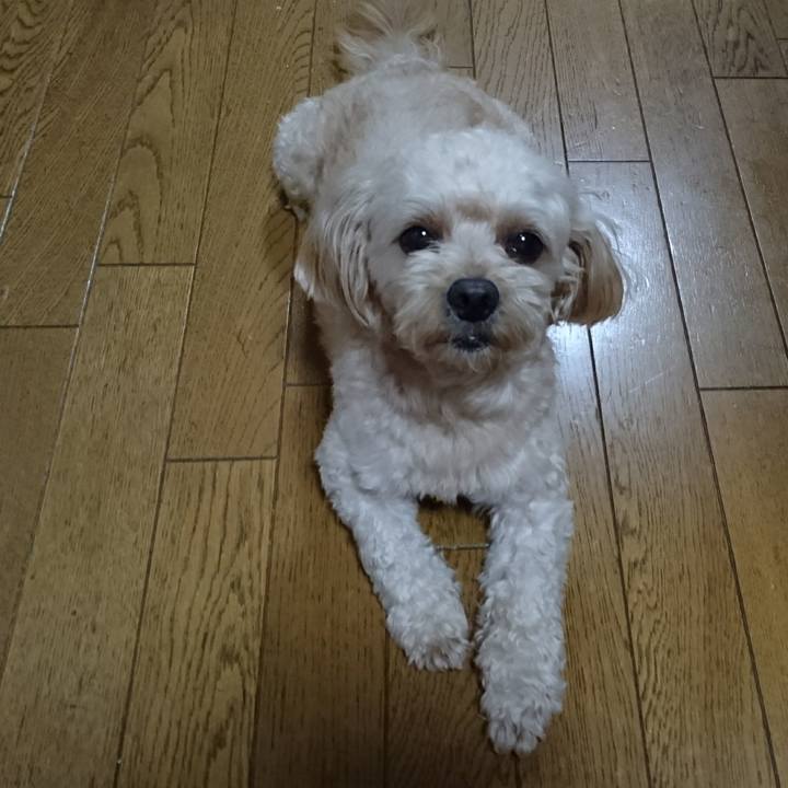 Dab23c25 273a 44a0 92eb 549ed7c107fb 1564831762802