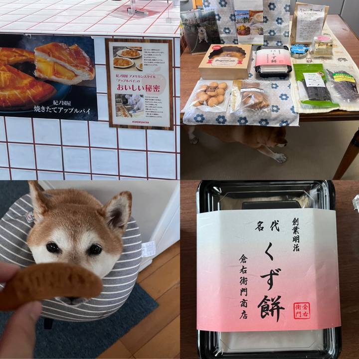 Dab23cc3 1497 4f20 9484 e2812efad14b 1667546288674