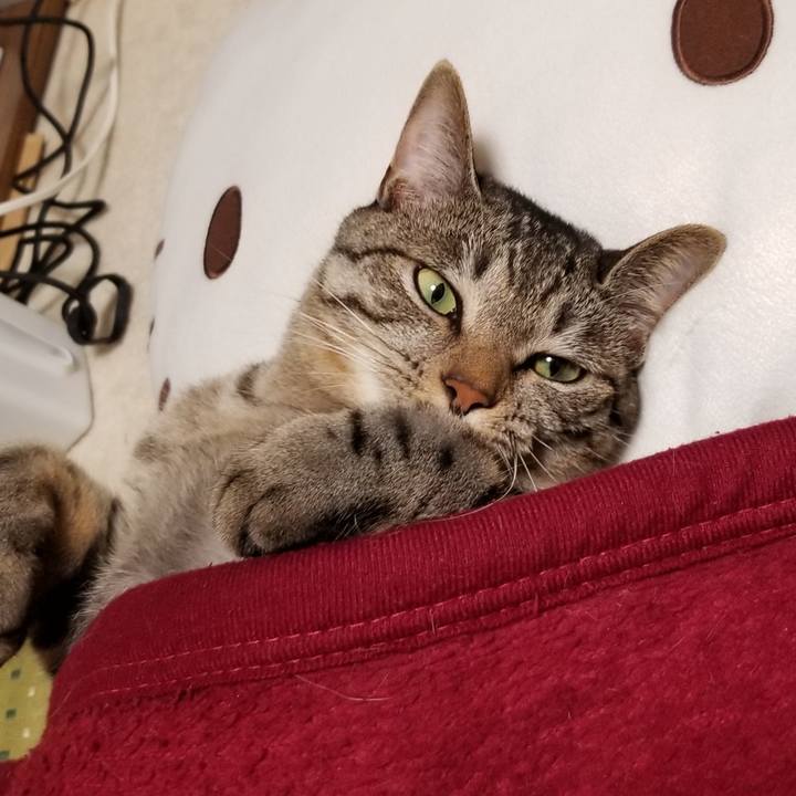 Dab23e60 ad4b 40dc b595 13b01fb07403 1691418610289