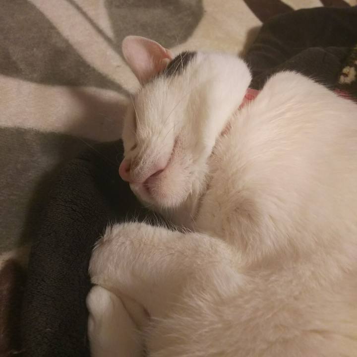 Dab27af4 443d 4c45 a499 b1bc11dc1a06 1524570342486